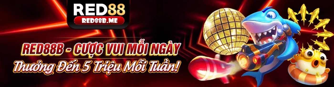 Hình ảnh minh họa Chính Sách Cookie p888 link vào